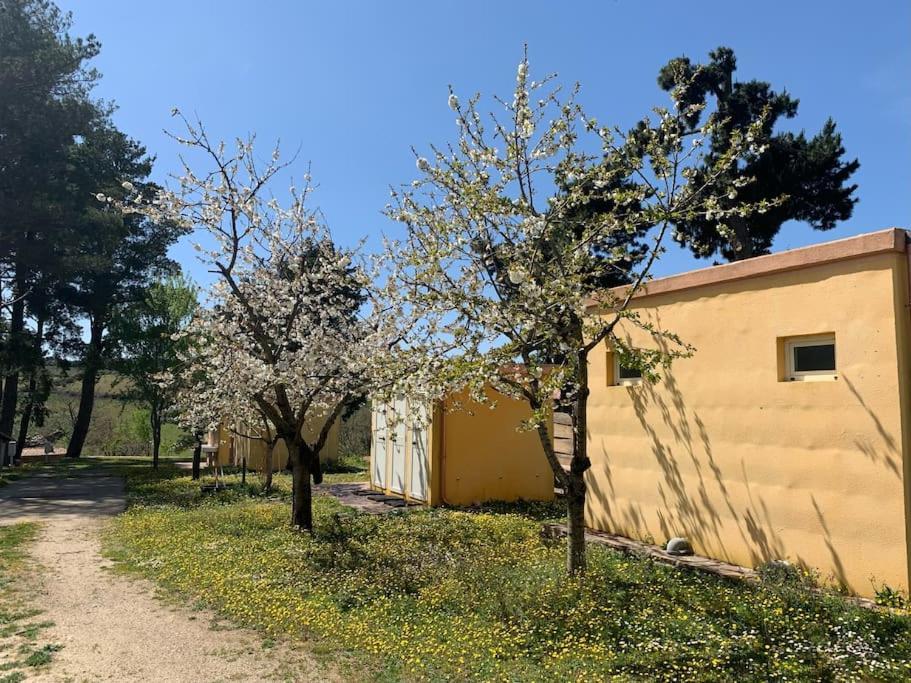 B&B Helga'S Agricampeggio Seulo Екстер'єр фото